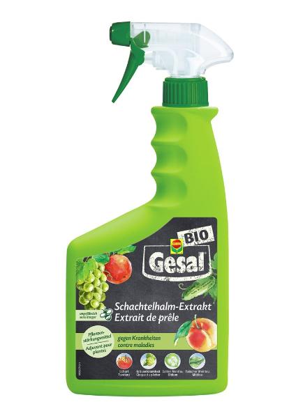 GESAL Schachtelhalm-Extrakt Fl 750 ml