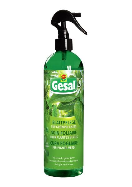 GESAL Blattpflege für Grünpflanzen 500 ml