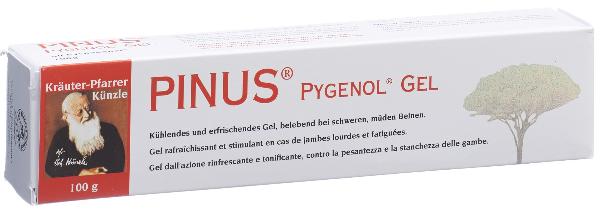 DrogerieMarkt24 - DrogerieMarkt24 PINUS PYGENOL Gel Tb 100 g - DrogerieMarkt24