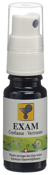 ODINELIXIR Exam Blüteness Fertigm Spr 10 ml