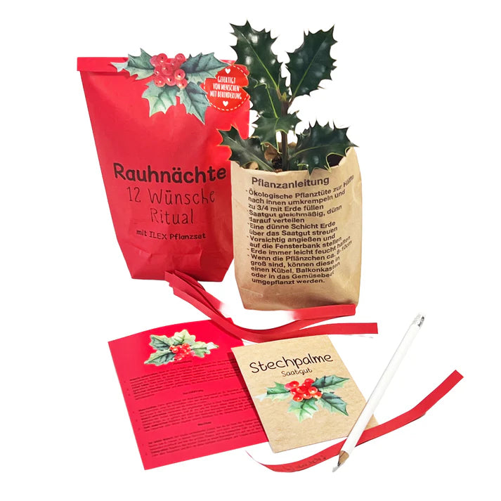 Rauhnächte 13 Wünsche Ritual Wundertüte mit ILEX Pflanzset