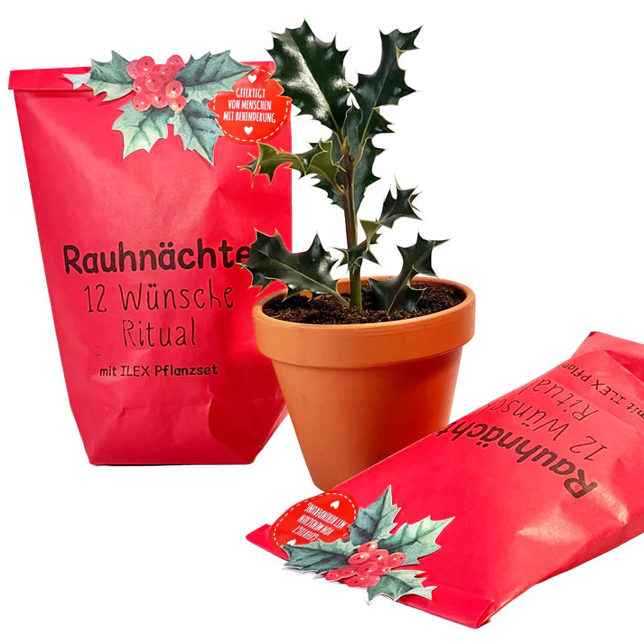 Rauhnächte 13 Wünsche Ritual Wundertüte mit ILEX Pflanzset