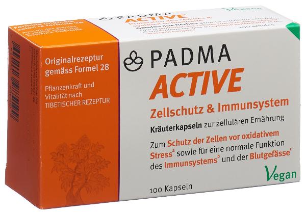 DrogerieMarkt24 - DrogerieMarkt24 PADMA active Kaps 100 Stk - DrogerieMarkt24