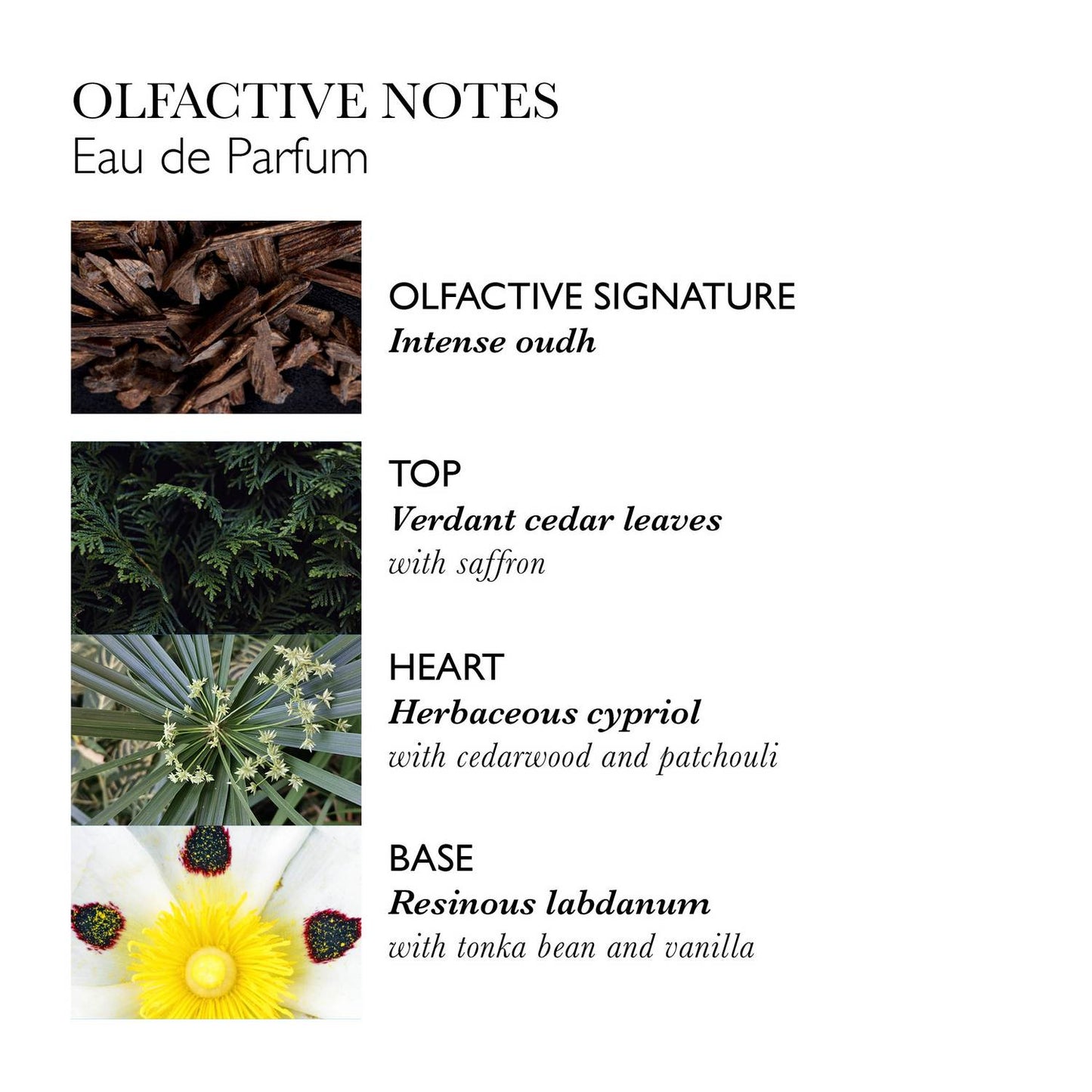 MOLTON BROWN Labdanum Dusk Eau de Parfum 100 ml