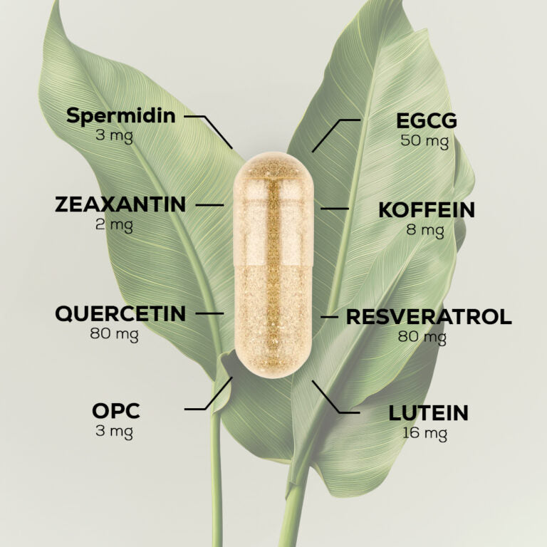 EPIGEING Age Attack® Starter 30 Kaps