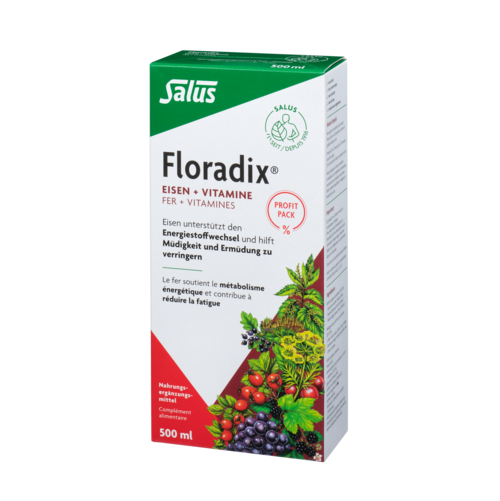 DrogerieMarkt24 - DrogerieMarkt24 FLORADIX Eisen + Vitamine Saft Fl 500 ml - DrogerieMarkt24