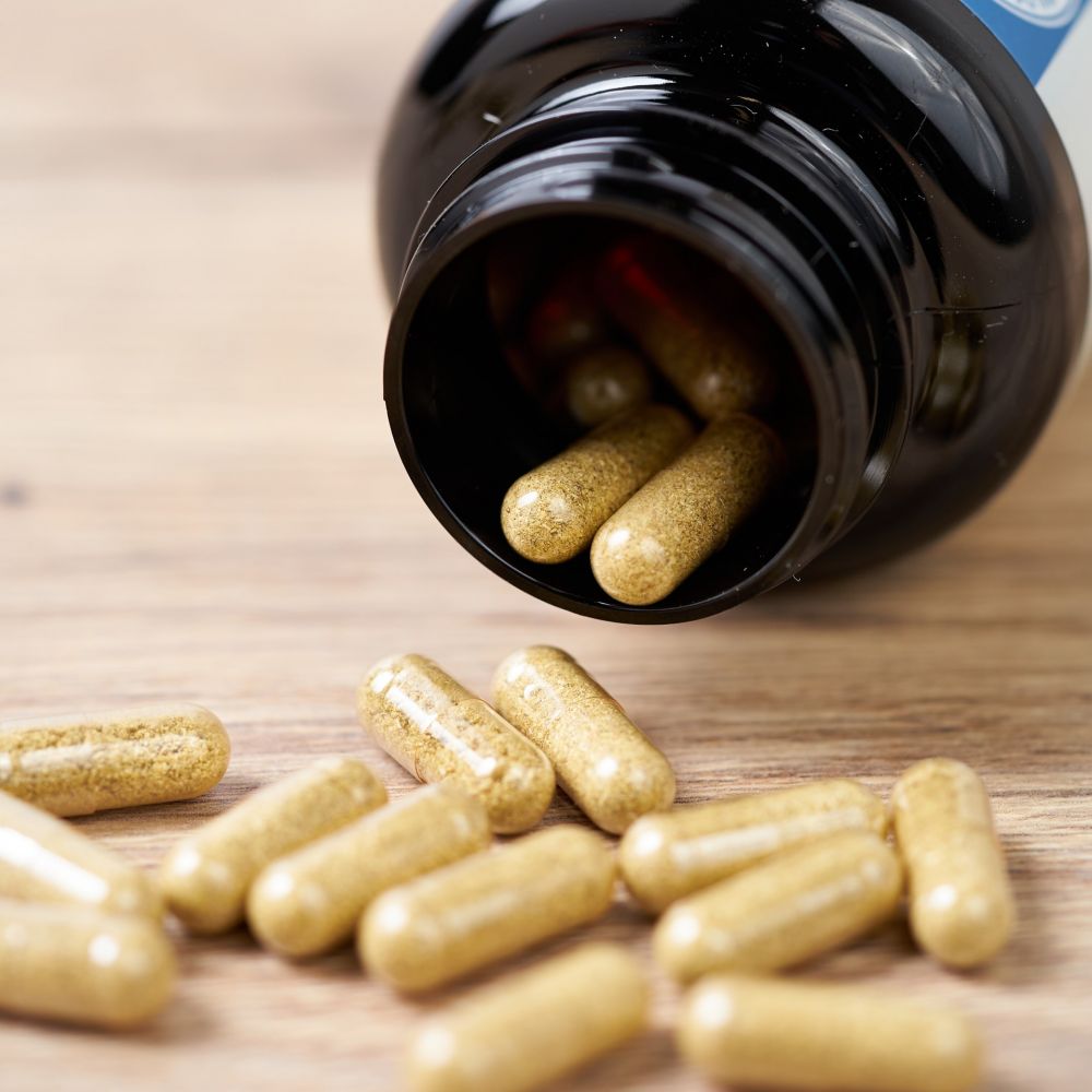 Hildegards Laden - Fenchel Kapseln 90 Stk.