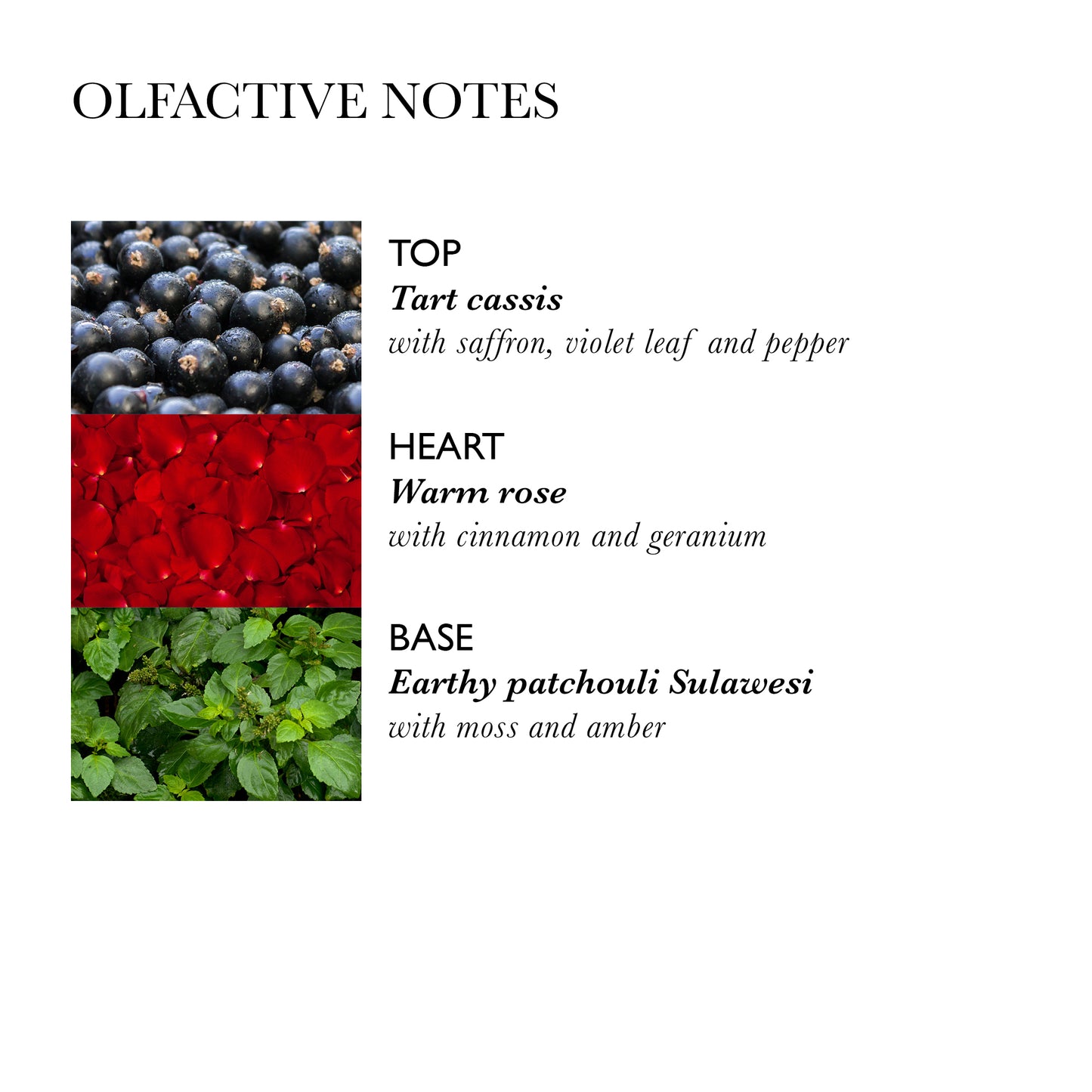 MOLTON BROWN Rose Dunes Body Wash Duschgel