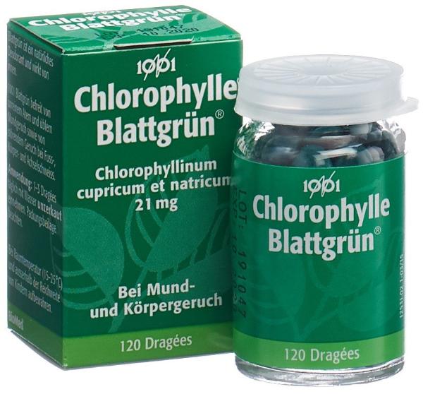 BLATTGRÜN 1001 Drag Fl 120 Stk