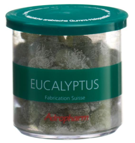 ADROPHARM Eukalyptus Bio reizlindernde Past 140 g
