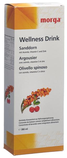 MORGA Sanddorn Wellness Drink Fl 380 ml