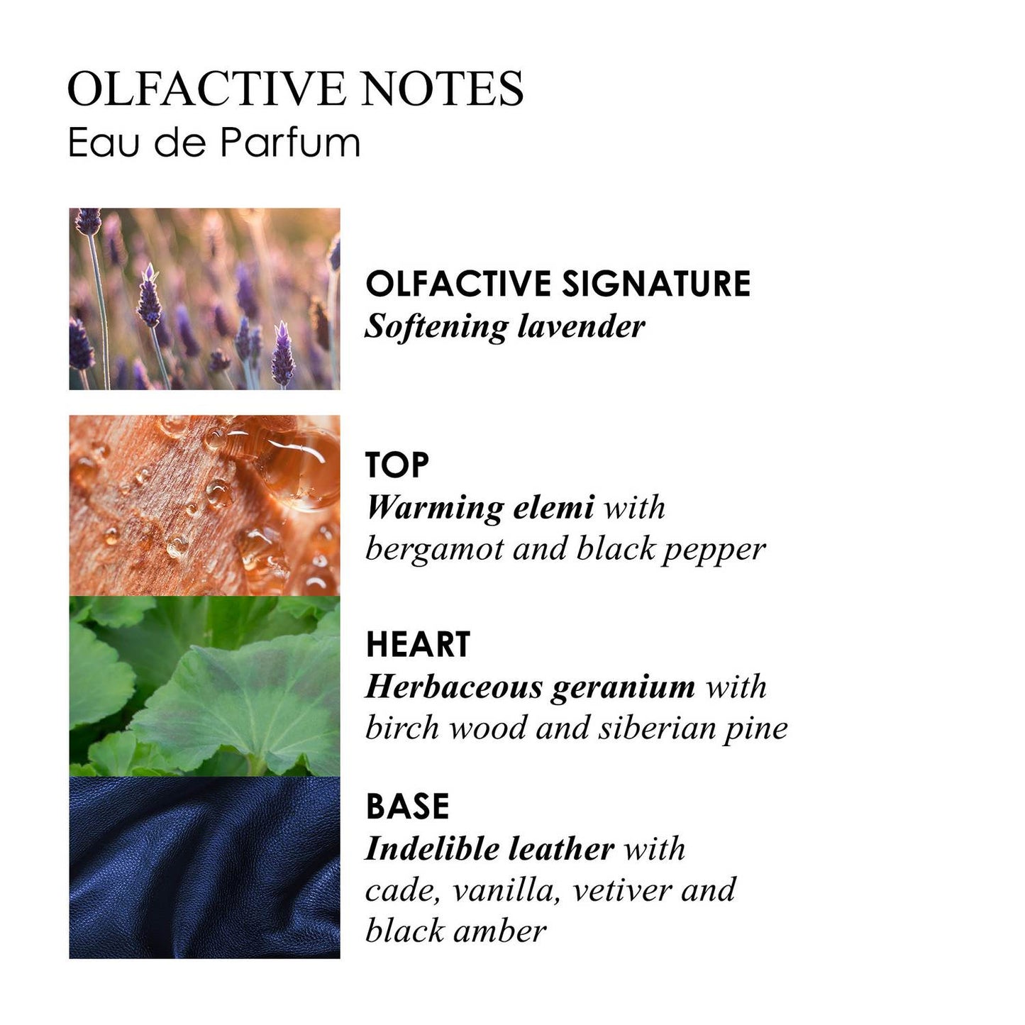 MOLTON BROWN Russian Leather Eau de Parfum 100ml