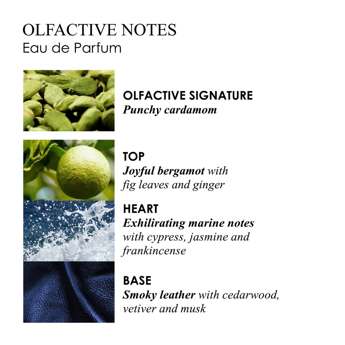 MOLTON BROWN Coastal Cypress & Sea Fennel Eau de Parfum 100ml