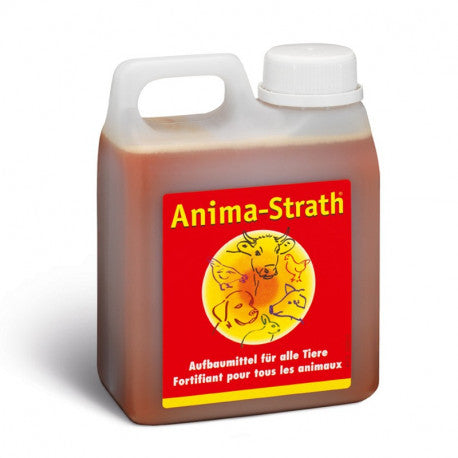 DrogerieMarkt24 - DrogerieMarkt24 ANIMA STRATH liq Kanister 5 lt - Burgerstein