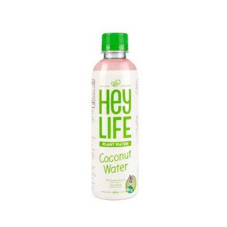 HEYLIFE Coconut water, EU Bio 300ml