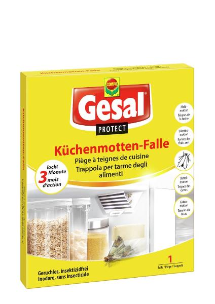 DrogerieMarkt24 - DrogerieMarkt24 GESAL PROTECT Küchenmotten-Falle - DrogerieMarkt24