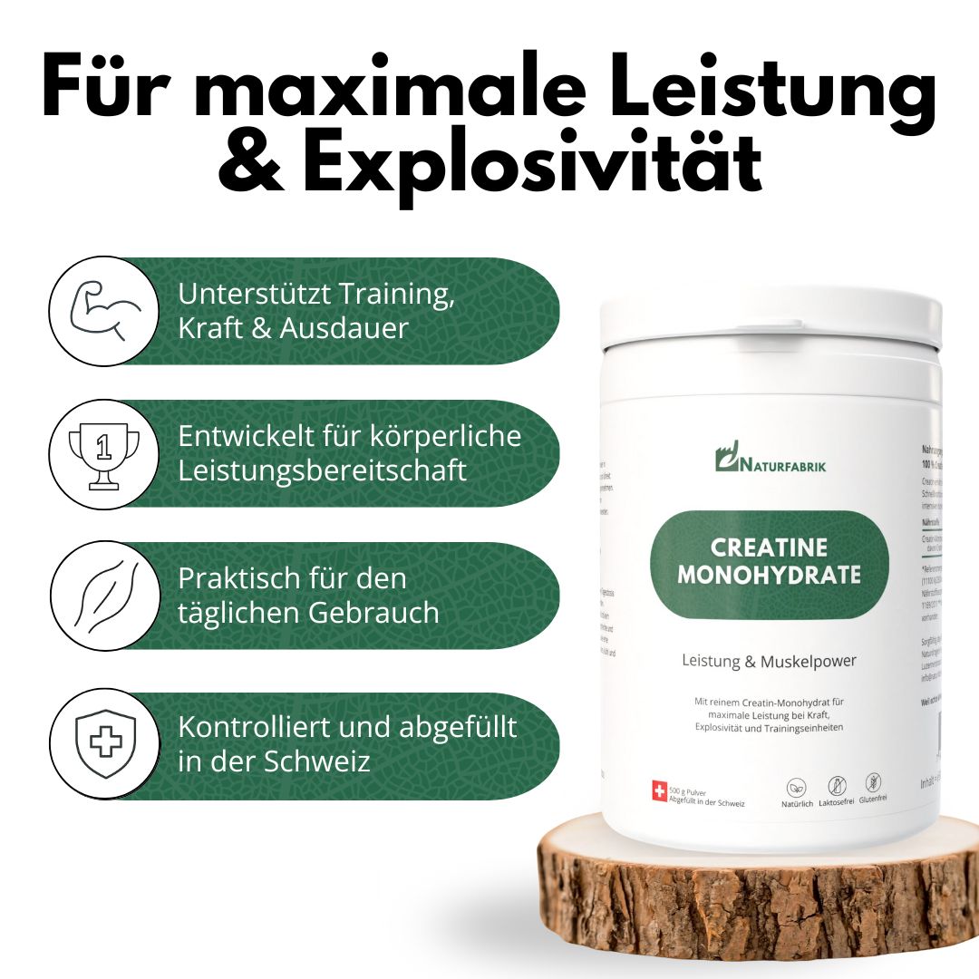 NATURFABRIK Creatine Monohydrate 500 g
