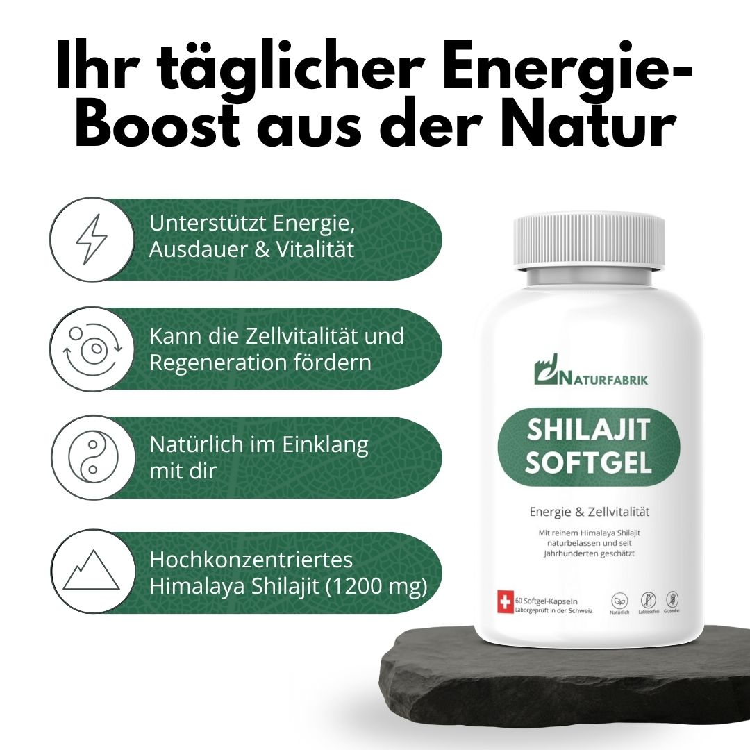 NATURFABRIK Shilajit Softgel Kapseln 60 Stück