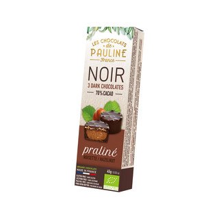 Pauline Haselnusstaler mit Edelbitterschokolade, EU Bio / FLO-Fairtrade 45g