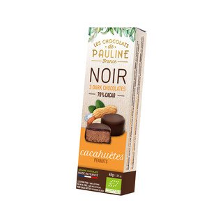 Pauline Erdnusstaler mit Zartbitterschokolade fleur de sel, EU Bio / FLO-Fairtrade 45g
