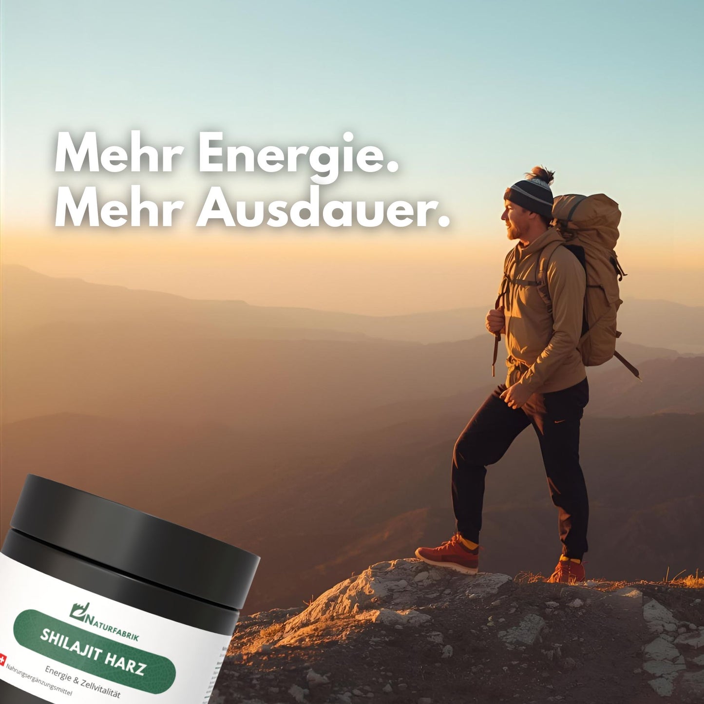 NATURFABRIK Shilajit Harz 30 g