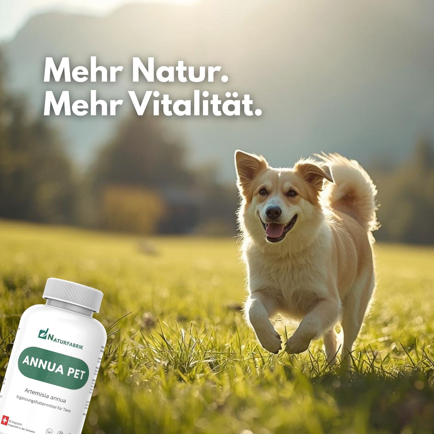 NATURFABRIK Annua Pet 90 Kapseln