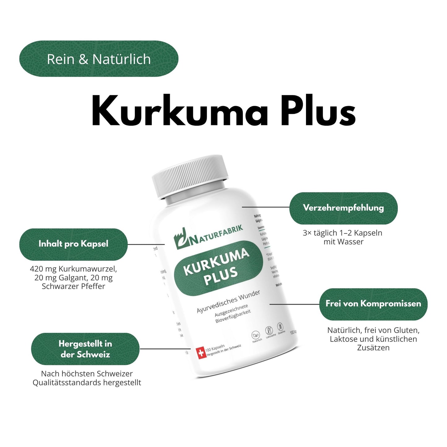 NATURFABRIK Kurkuma Plus Kapseln 100 Stk