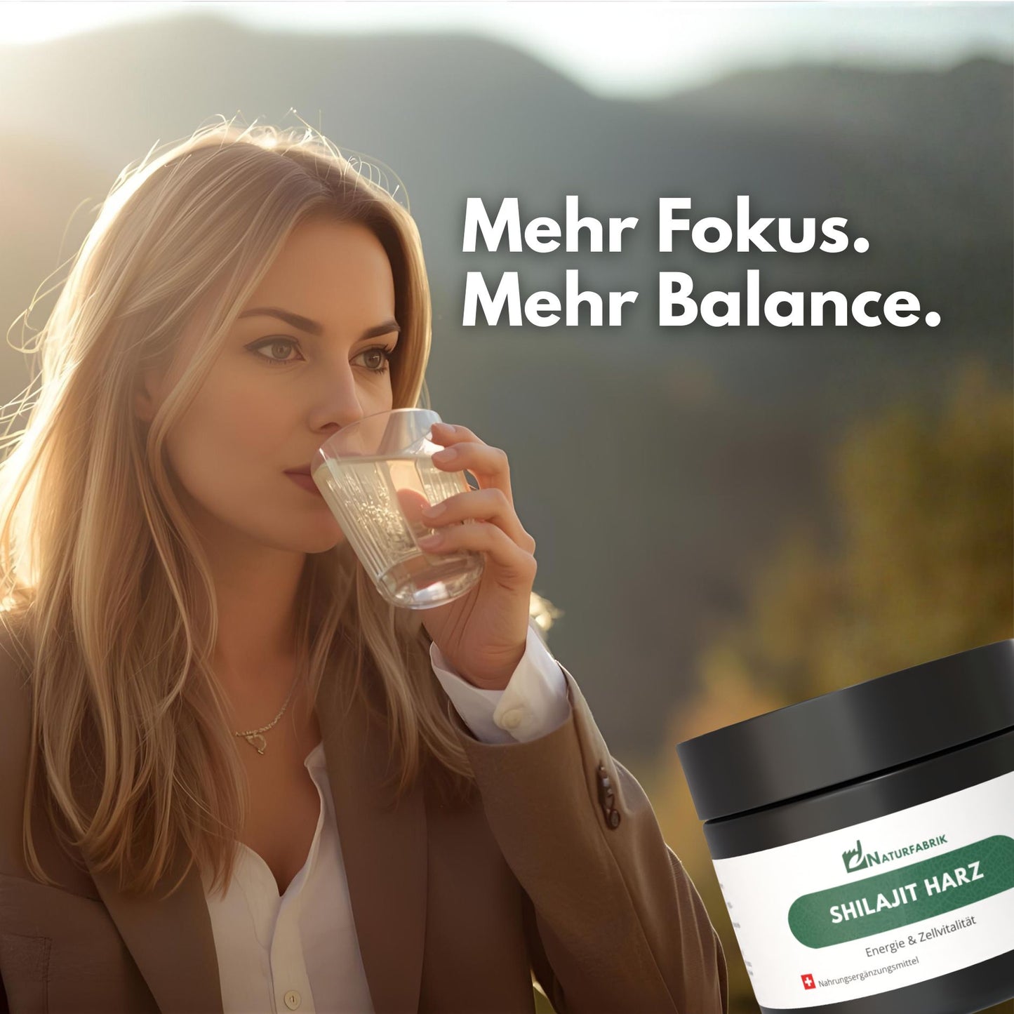 NATURFABRIK Shilajit Harz 30 g