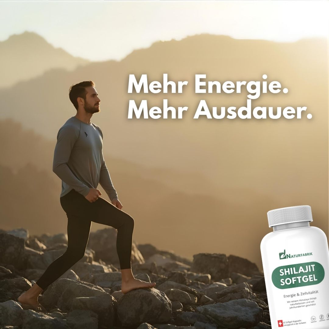 NATURFABRIK Shilajit Softgel Kapseln 60 Stück