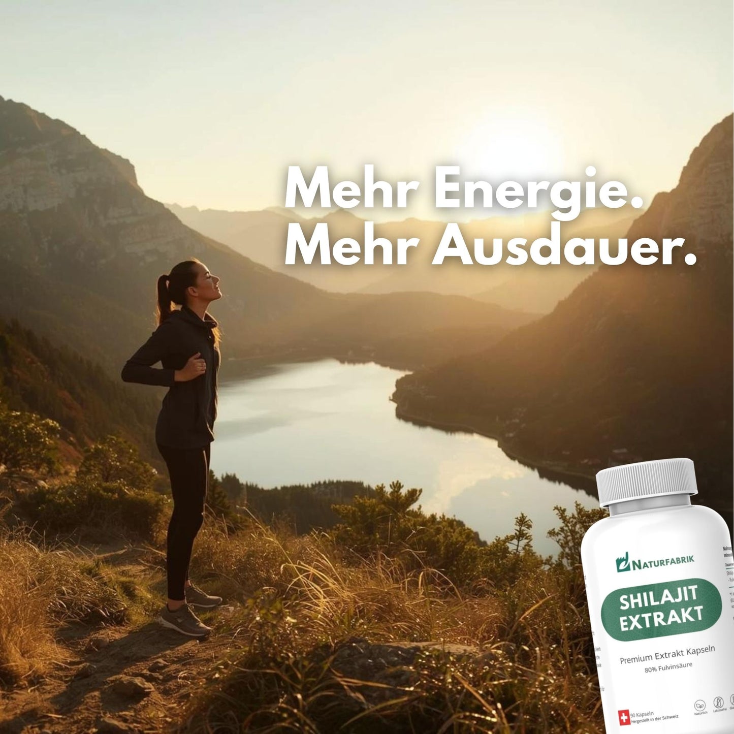 NATURFABRIK Shilajit Mumijo Extrakt Kapseln 90 Stk