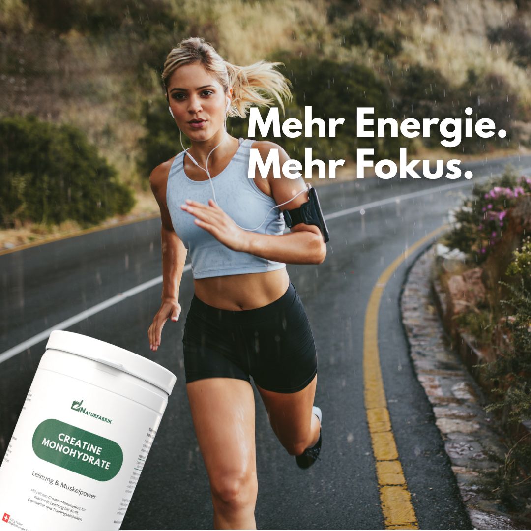 NATURFABRIK Creatine Monohydrate 500 g