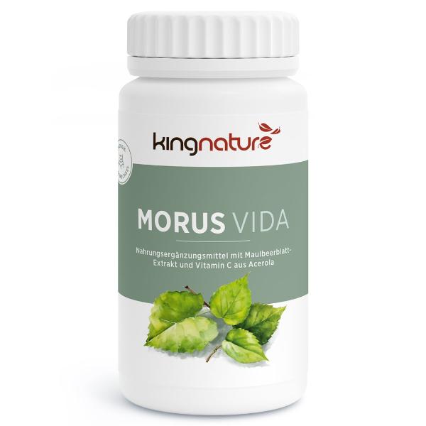 KINGNATURE MORUS Vida Kaps Ds 72 Stk