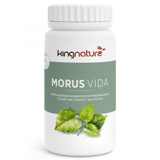 KINGNATURE MORUS Vida Kaps Ds 72 Stk