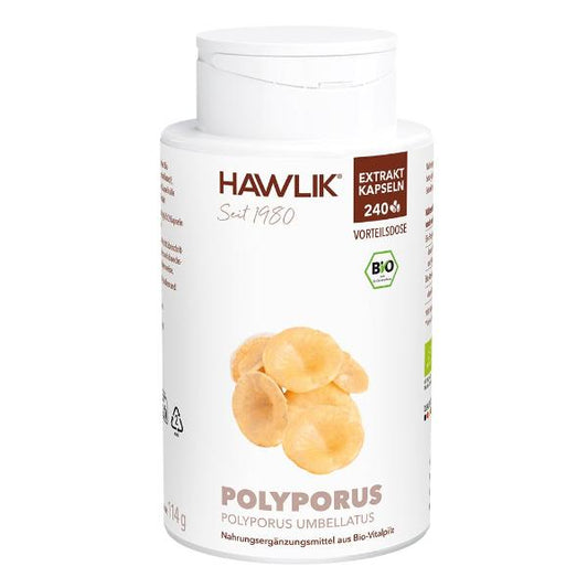 HAWLIK Polyporus Extrakt Kaps 240 Stk