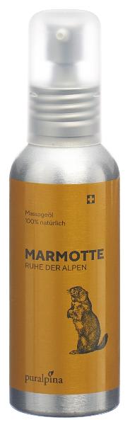 PURALPINA Marmotte Massageöl 100 ml