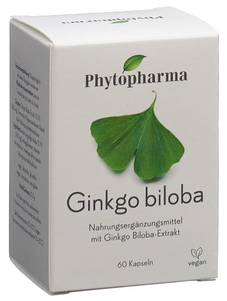 DrogerieMarkt24 - DrogerieMarkt24 PHYTOPHARMA Ginkgo Biloba Kapseln (60 Stk.) - DrogerieMarkt24