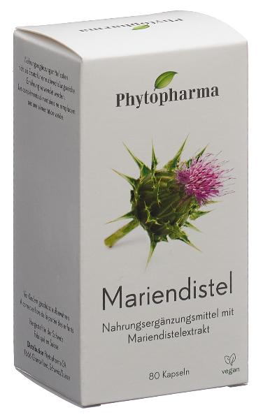 DrogerieMarkt24 - DrogerieMarkt24 PHYTOPHARMA Mariendistel Kaps 80 Stk - DrogerieMarkt24