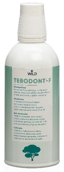 DrogerieMarkt24 - DrogerieMarkt24 TEBODONT-F Mundspülung Fl 500 ml - DrogerieMarkt24