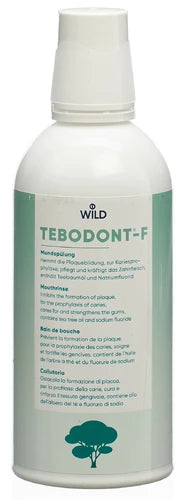 TEBODONT-F Mundspülung Fl 500 ml