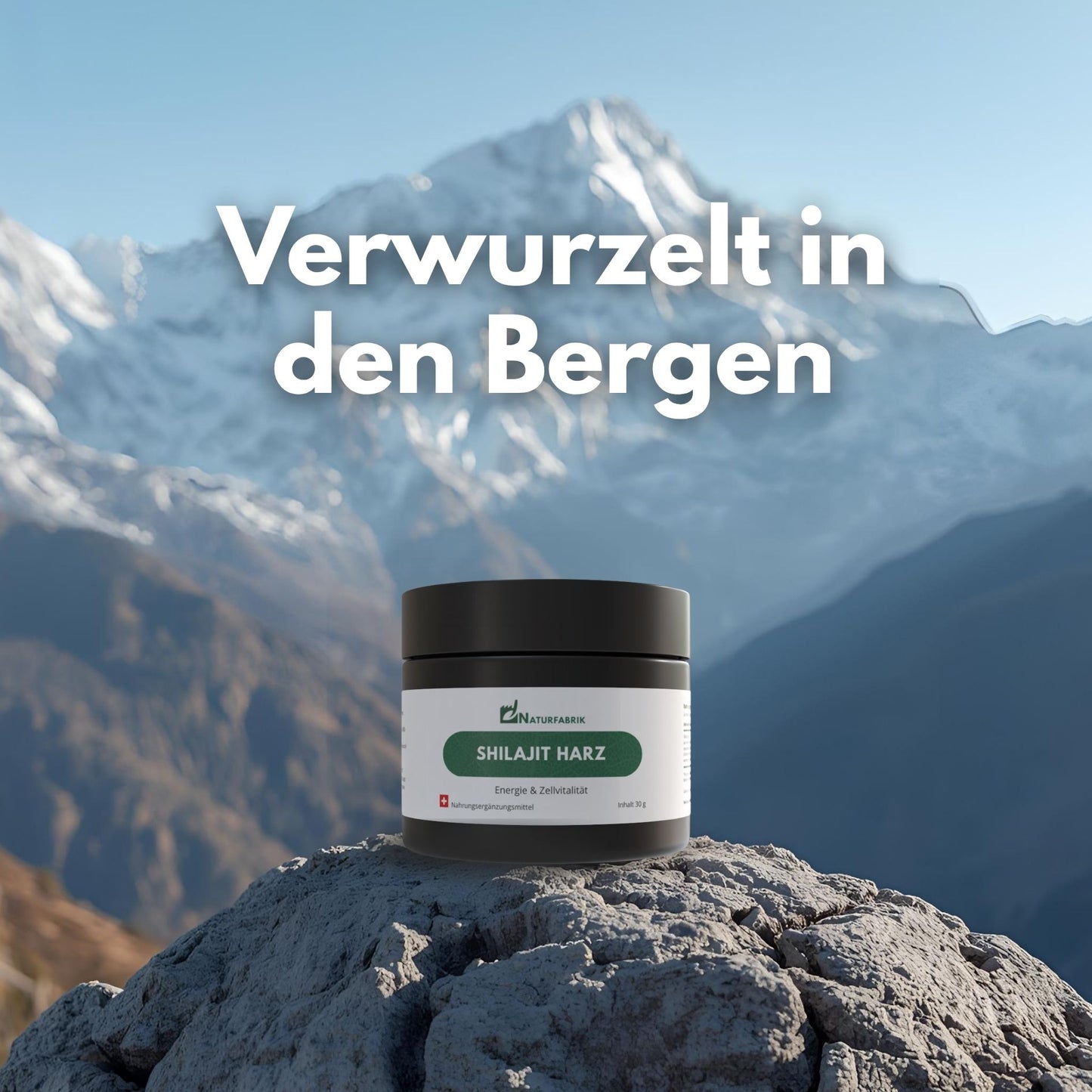 NATURFABRIK Shilajit Harz 30 g
