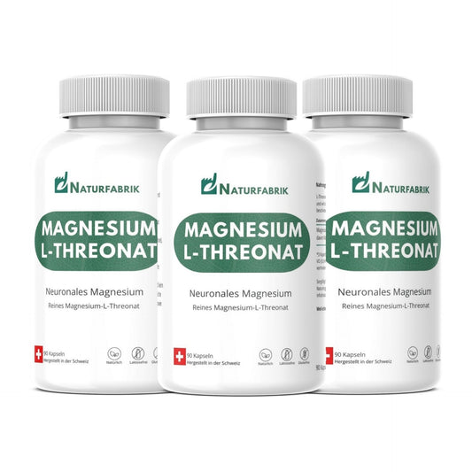 NATURFABRIK Magnesium-L-Threonat Kapseln 90 Stück (3er Bündel)