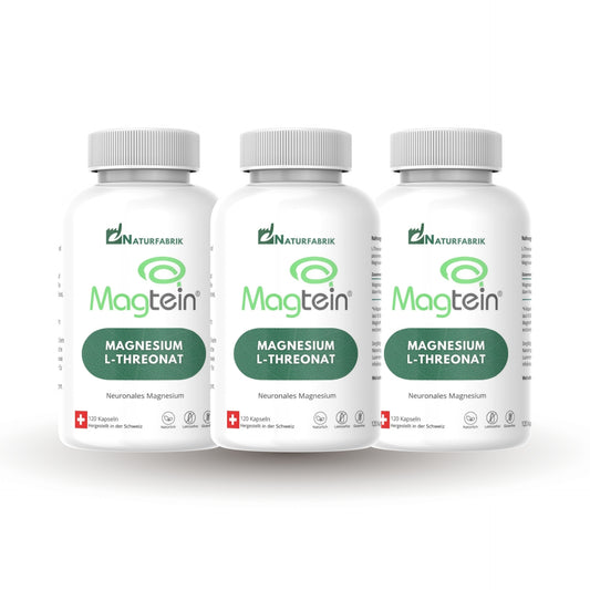 NATURFABRIK Magnesium-L-Threonat Magtein® Kaps 360 Stk (3er)
