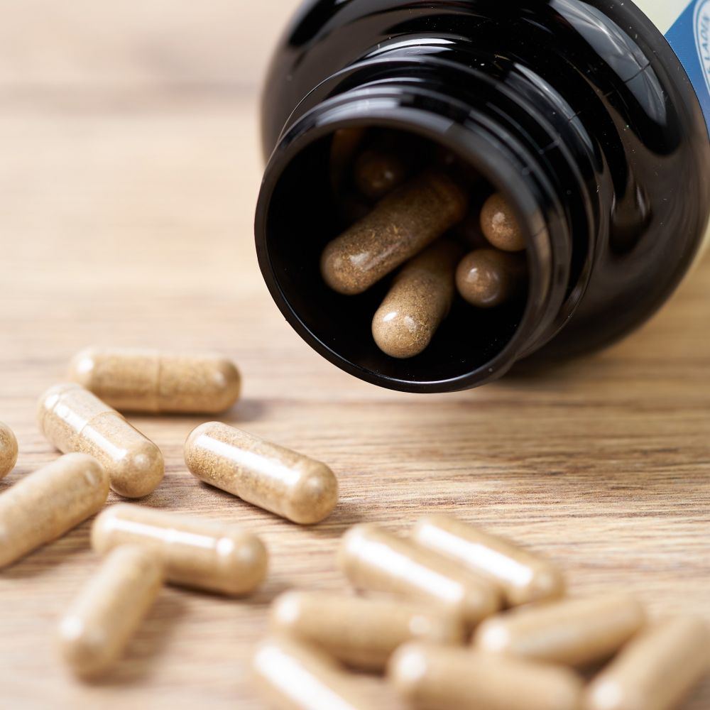 Hildegards Laden - Habichtskraut Mischpulver Kapseln 90 Stk.