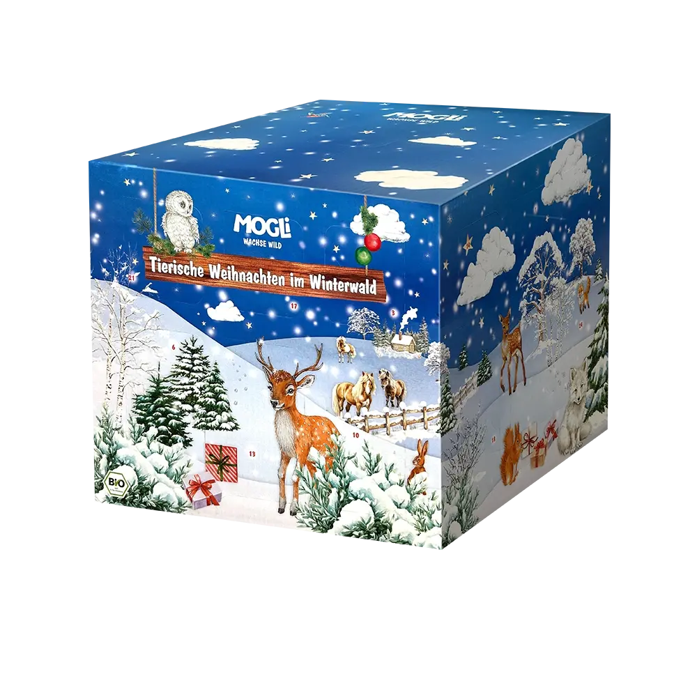MOGLi Adventskalender 2026 – Kalenderwürfel ohne Schuber