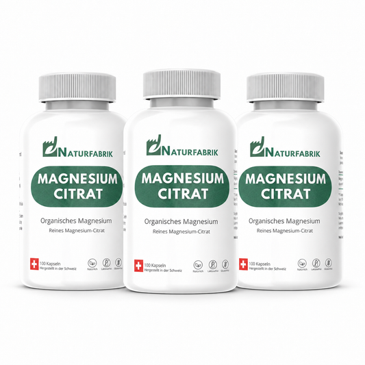 NATURFABRIK Magnesium Citrat Kapseln 300 Stück (3er)