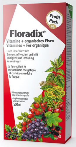 FLORADIX Eisen + Vitamine Saft Fl 500 ml