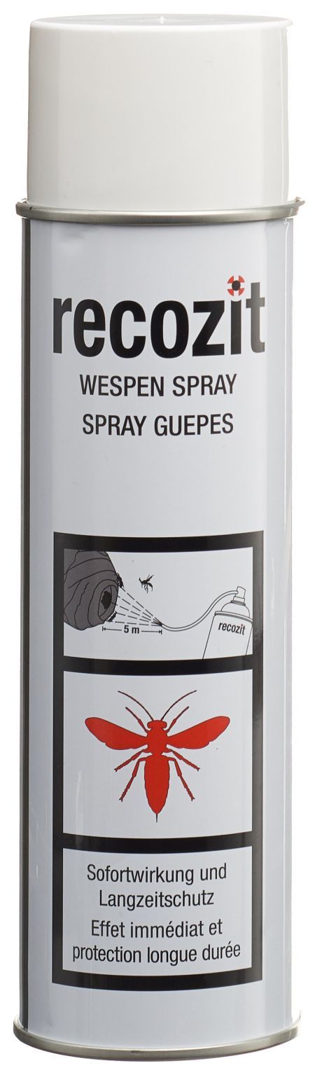 RECOZIT Wespen Spray 500 ml