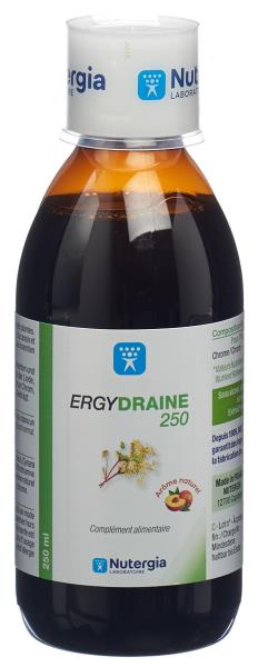 NUTERGIA Ergydraine Fl 250 ml
