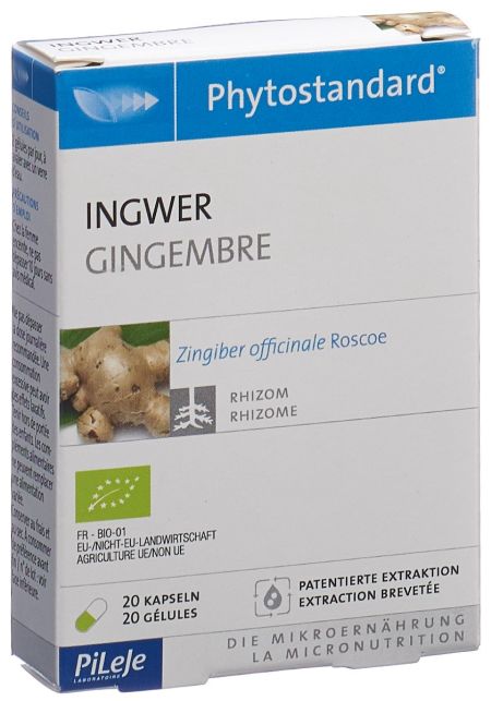 PHYTOSTANDARD Ingwer Kaps Bio 20 Stk