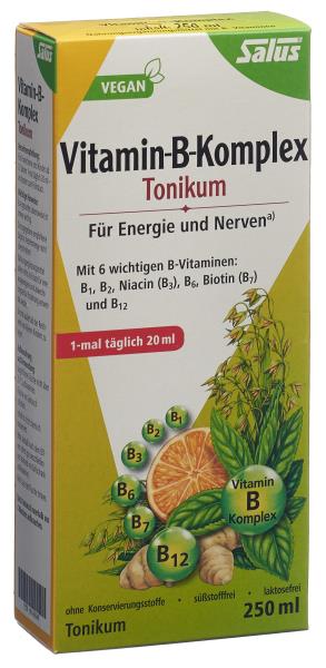 SALUS Vitamin-B-Komplex Fl 250 ml